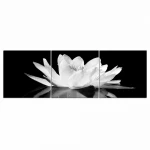 Tableau fleur de lotus noir et blanc