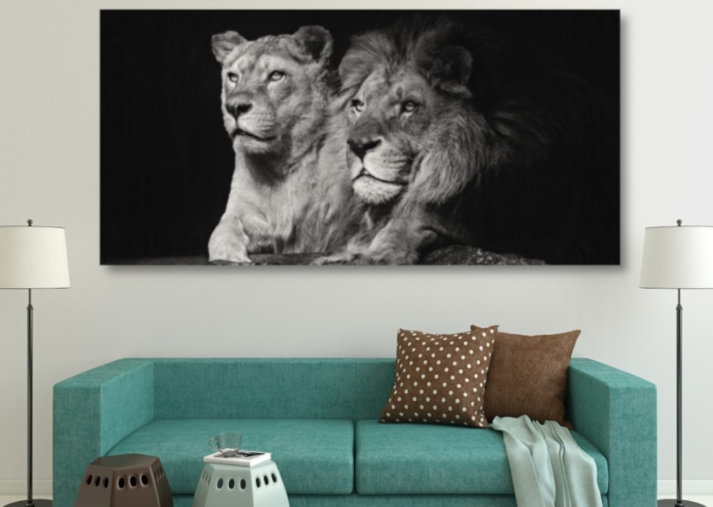 tableau lion et lionne en noir et blanc