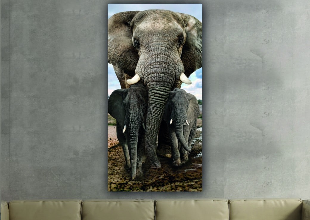 Tableau famille d'éléphants Tabloide