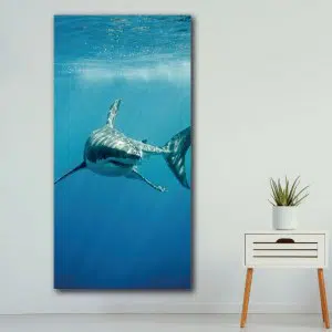 Tableau requin blanc Tableau Animaux Tableau Requin