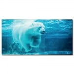 Tableau Ours polaire nageant Tableau Animaux Tableau Ours