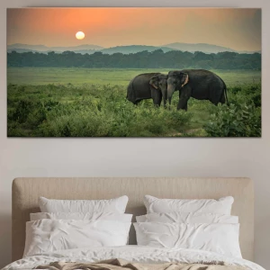 Tableau couple d'éléphants sur les plaines vertes