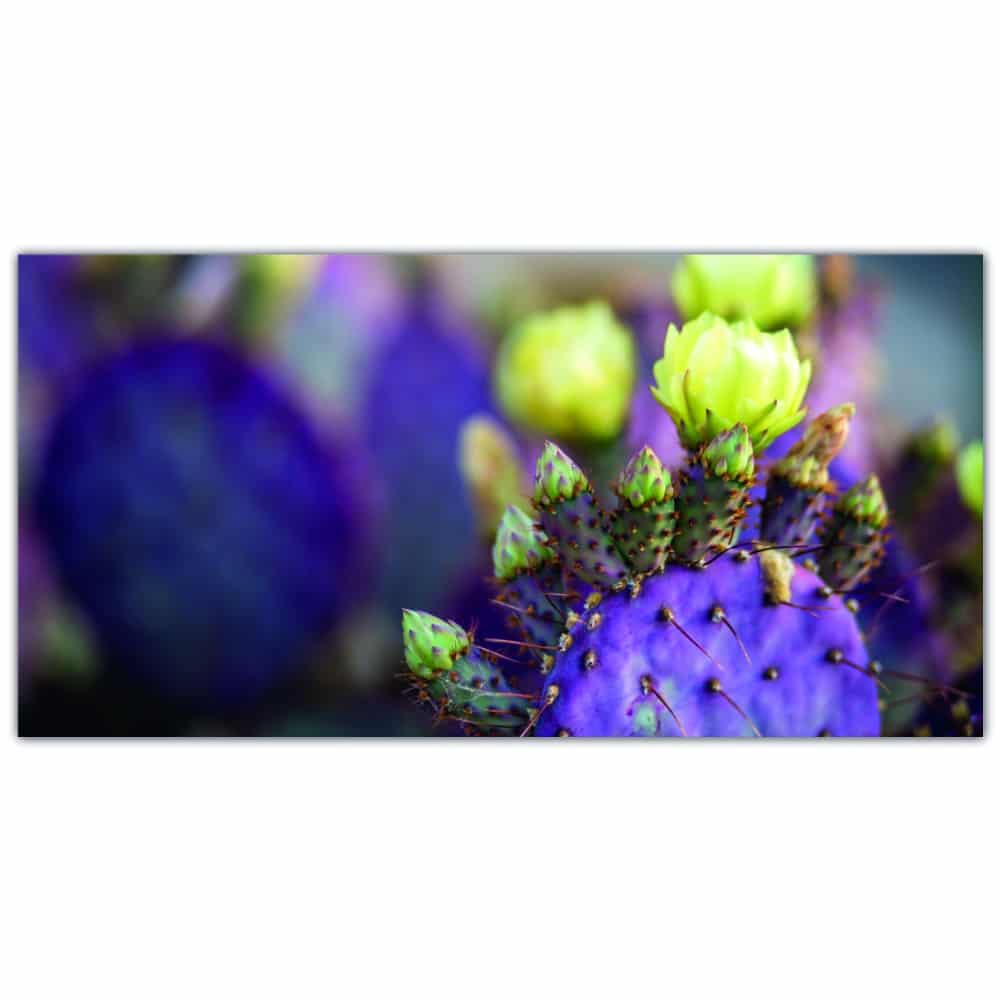 Tableau Cactus violet à côté d’une fleur Tableau Fleur Tableau Nature taille: XXS|XS|S|M|L|XL|XXL