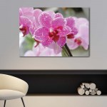 Tableau Orchidées pourpres en fleurs roses Tableau Fleur Tableau Nature taille: XS|S|M|L|XL|XXL