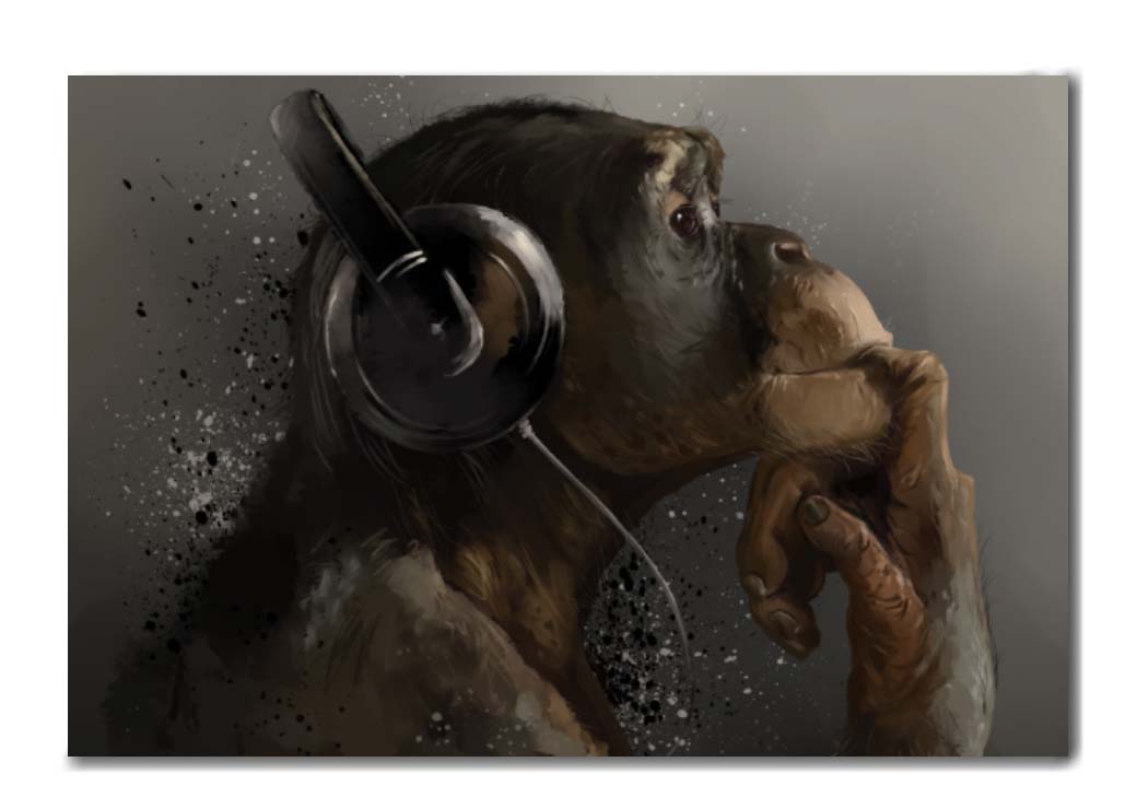 chimpanzé