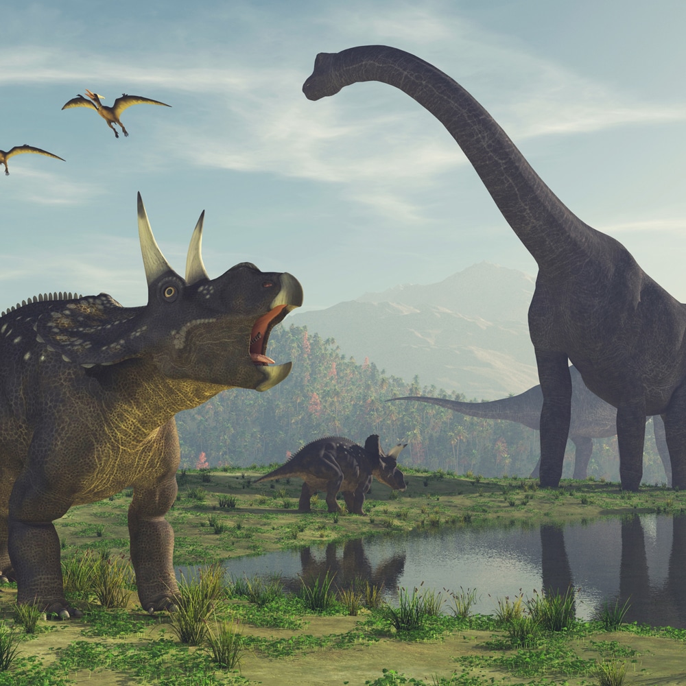 image en 3d dinosaures