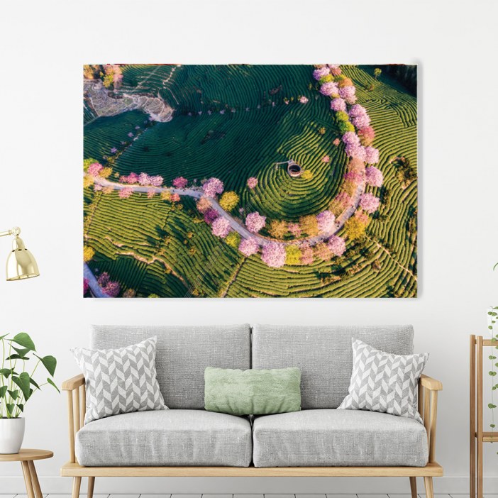Cuadro Vista aérea de un jardín de té tradicional y flores de cerezo en China