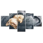 Tableau chat enroulé