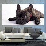 Tableau Bouledog allongé sur le sol Tableau Animaux Tableau Chien