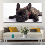Tableau Bouledog allongé sur le sol Tableau Animaux Tableau Chien
