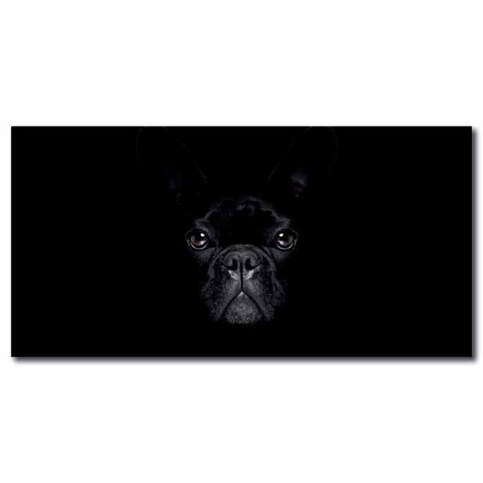 Tableau Bouledogue français dans le noir Tableau Animaux Tableau Chien taille: XXS