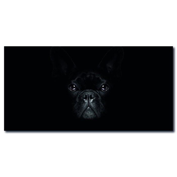 Tableau Bouledogue français dans le noir Tableau Animaux Tableau Chien