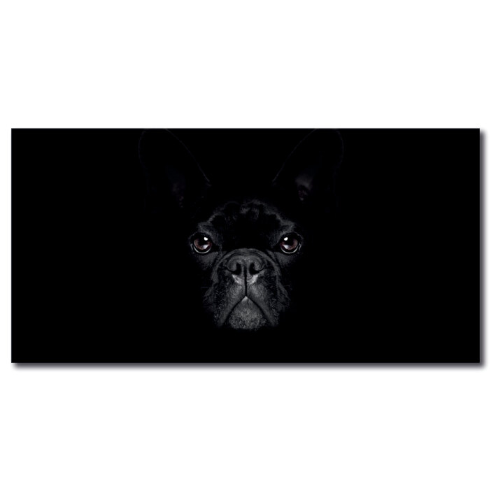 Tableau Bouledogue français dans le noir Tableau Animaux Tableau Chien