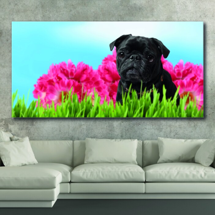 Tableau Carlin dans le jardin