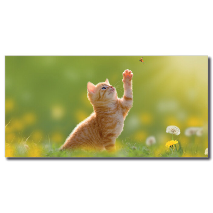 Tableau Chat chassant les papillons Tableau Animaux Tableau Chat