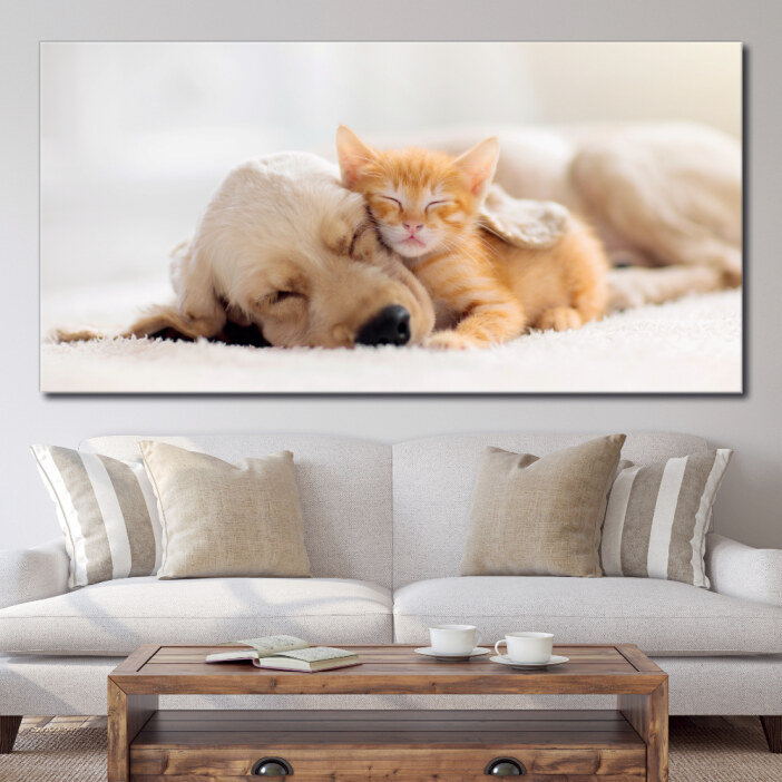 Tableau Chat et chien dormant ensemble Tableau Animaux Tableau Chat Tableau Chien