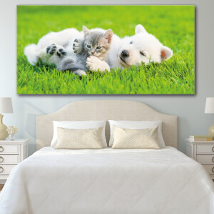 Tableau Chat et chien jouant sur l’herbe Tableau Animaux Tableau Chat Tableau Chien