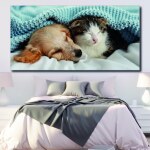 Tableau Chien et chat sous une couverture bleue