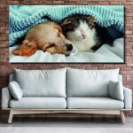 Tableau Chien et chat sous une couverture bleue
