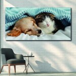 Tableau Chien et chat sous une couverture bleue