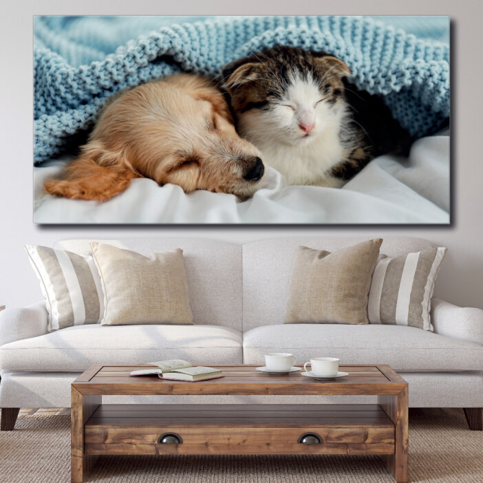 Tableau Chien et chat sous une couverture bleue Tableau Animaux Tableau Chat Tableau Chien