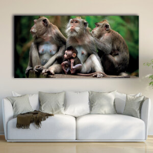 Tableau Communauté de singes Tableau Animaux Tableau Singe
