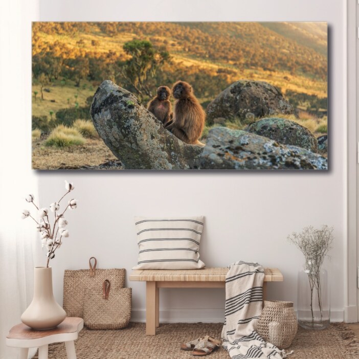 Tableau Deux singes dans la savane Tableau Animaux Tableau Singe taille: XXS