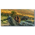 Tableau Deux singes dans la savane Tableau Animaux Tableau Singe
