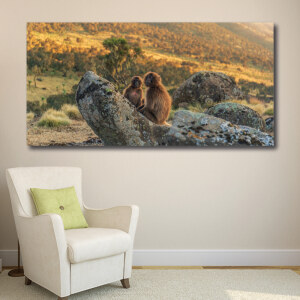 Tableau Deux singes dans la savane Tableau Animaux Tableau Singe