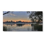 Tableau Lever du soleil dans la mangrove