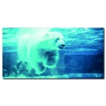 Tableau Ours polaire nageant Tableau Animaux Tableau Ours