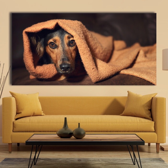 Tableau Petit chien sous des couvertures Tableau Animaux Tableau Chien