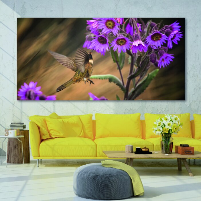 Tableau Petit colibri Uncategorized