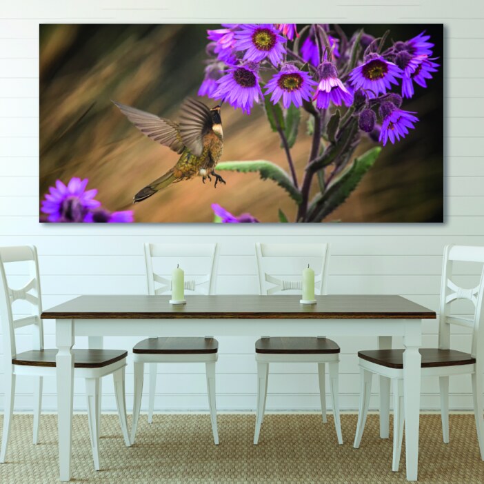 Tableau Petit colibri Uncategorized