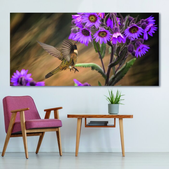 Tableau Petit colibri Uncategorized