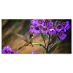 Tableau Petit colibri Uncategorized