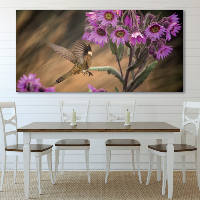 Tableau Petit colibri Tableau Animaux Tableau Oiseau