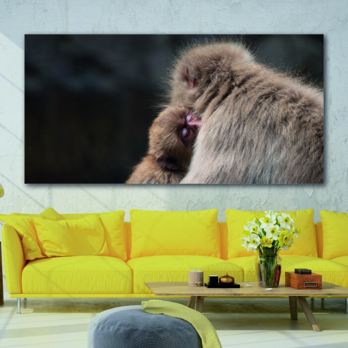 Tableau Petit singe endormi
