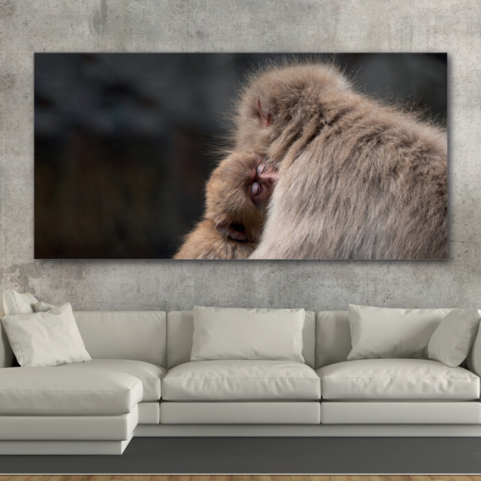 Tableau Petit singe endormi Tableau Animaux Tableau Singe