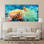 Tableau Poisson de récif dans l’anémone Tableau Animaux Tableau Mer Tableau Nature