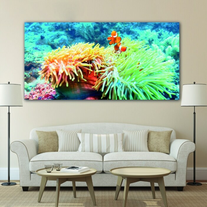 Tableau Poisson de récif dans l&rsquo;anémone Tableau Animaux Tableau Mer Tableau Nature taille: XXS