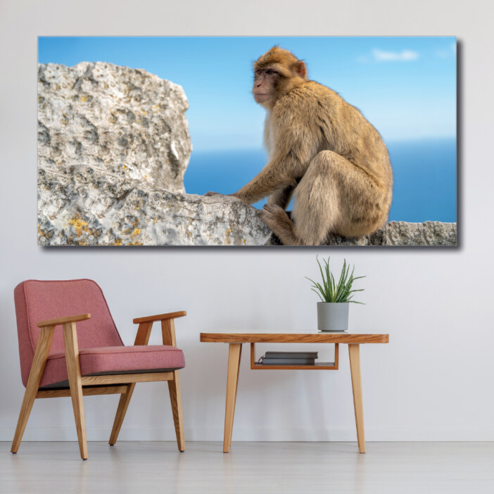 Tableau Singe devant l’océan Tableau Animaux Tableau Singe