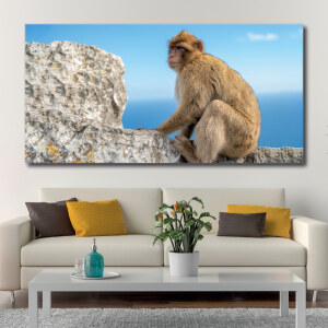 Tableau Singe devant l’océan Tableau Animaux Tableau Singe