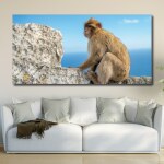 Tableau Singe devant l’océan Tableau Animaux Tableau Singe taille: XXS