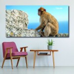 Tableau Singe devant l&rsquo;océan Tableau Animaux Tableau Singe