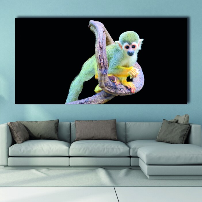 Tableau Singe écureuil Tableau Animaux Tableau Singe