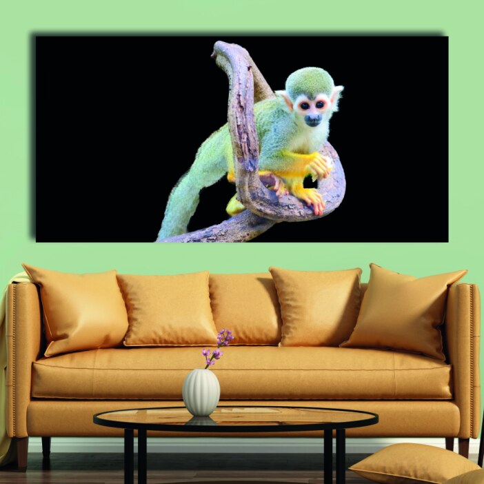 Tableau Singe écureuil Tableau Animaux Tableau Singe