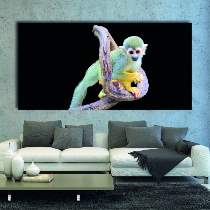 Tableau Singe écureuil Tableau Animaux Tableau Singe