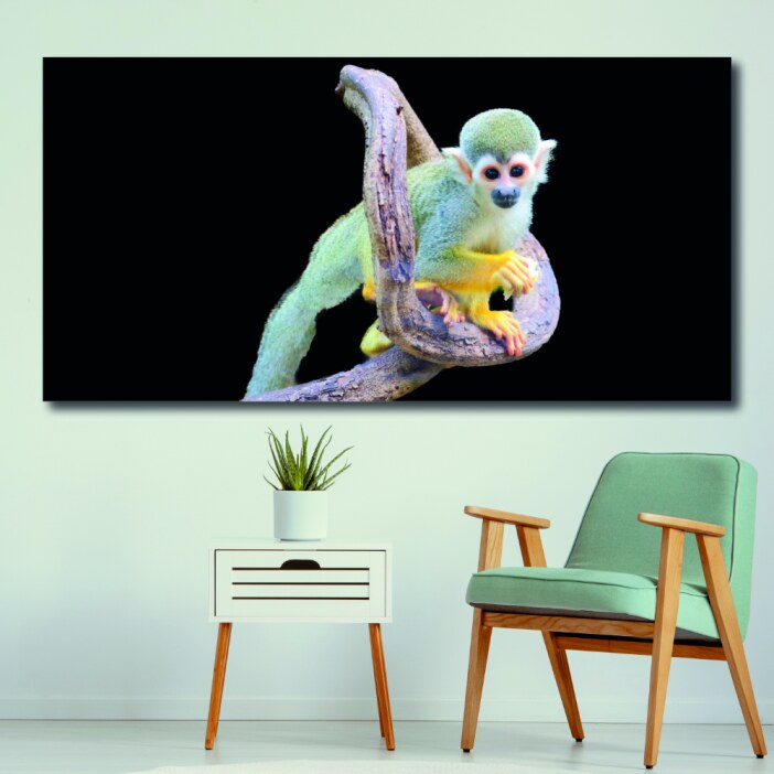 Tableau Singe écureuil Tableau Animaux Tableau Singe