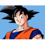 Tableau Son goku invocation d’attaque Tableau Geek Tableau Dragon Ball Z couleur: Multicolore